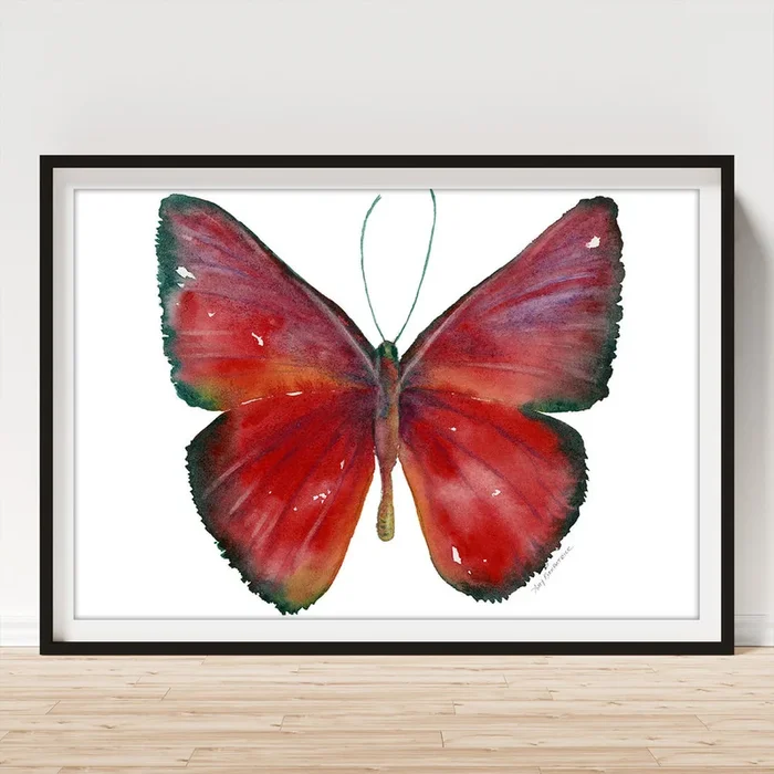 16 Mesene Rubella Butterfly Art Print