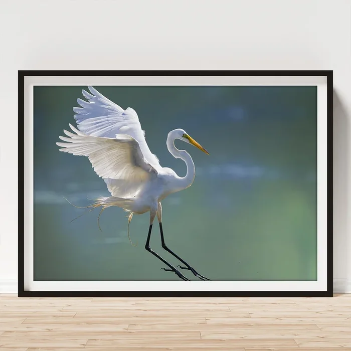#19 Art Print