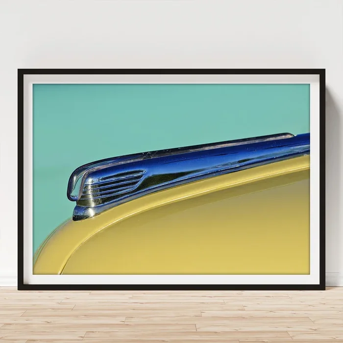 1947 Ford Super Deluxe Hood Ornament Art Print
