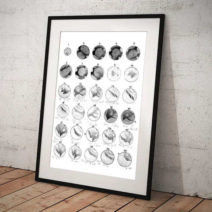 19th Century Drawings Of Mars Art Print