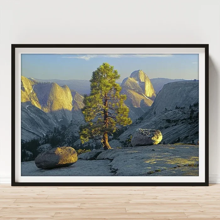 1M6505 Half Dome from near Olmsted Point Art Print