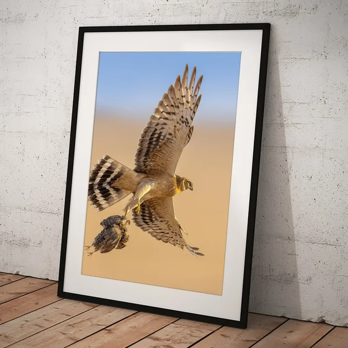 #3 Art Print