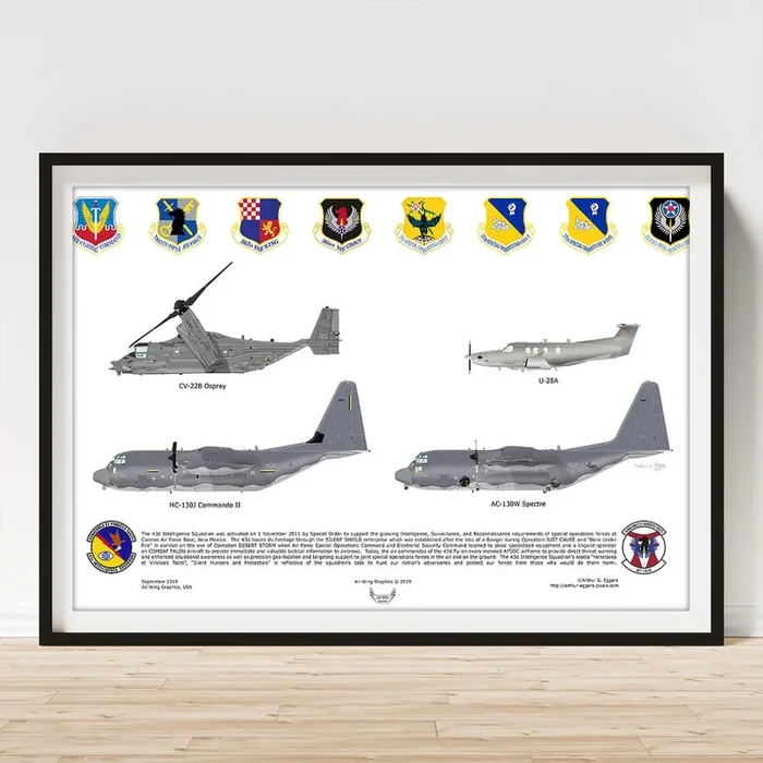 43d IS Art Print