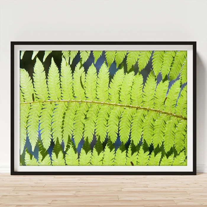 641-12603 Art Print