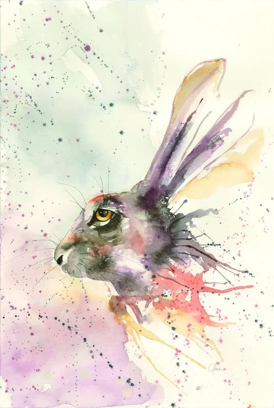 ‘Curious Hare’ (2016) Watercolour by Nicola Colbran