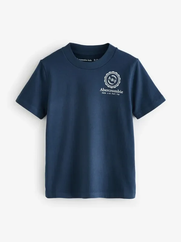 Abercrombie & Fitch Blue Foothills Long Sleeve Logo T-Shirt With Back Graphic