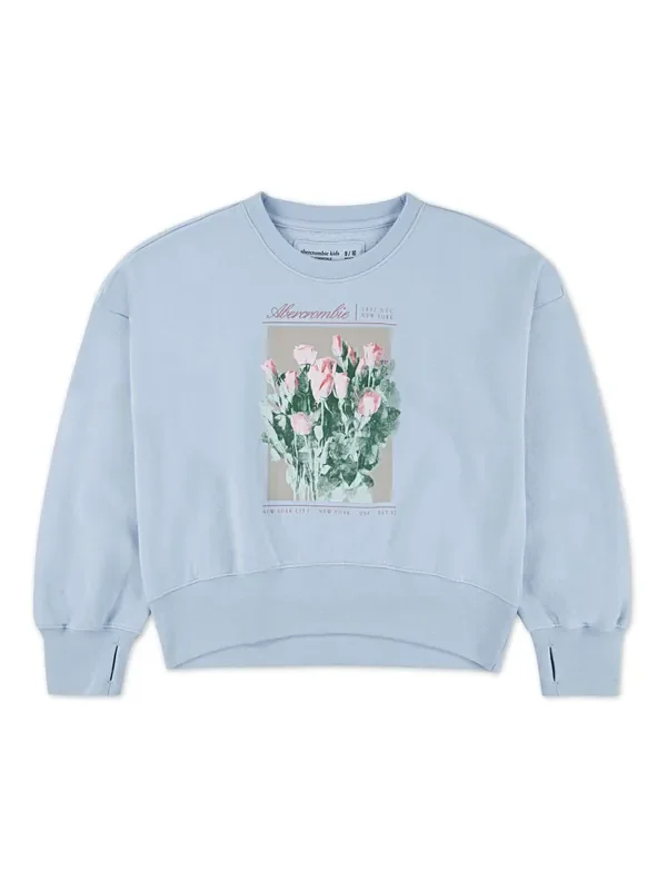 Abercrombie & Fitch Blue Graphic Crew Neck Jumper