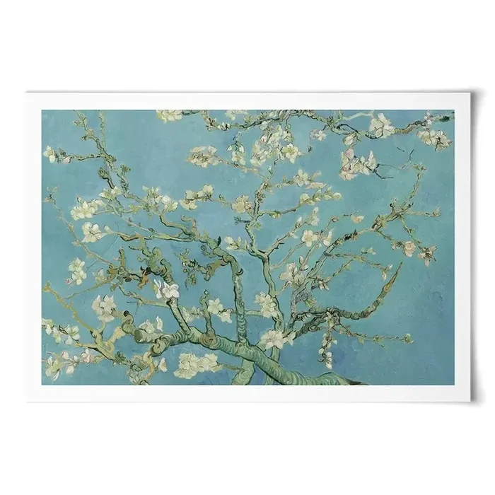 Almond Blossoms Art Print