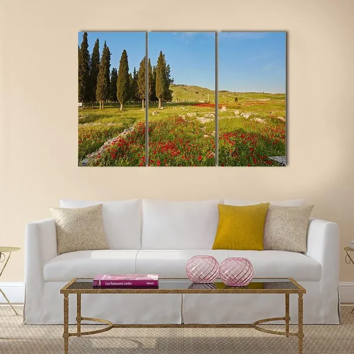 Ancient City Ruins in Turkey with Cypress and Poppies Canvas Wall Art