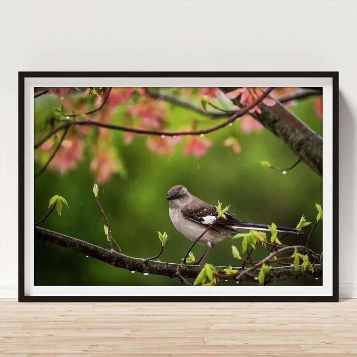 April Showers Bring May Flowers Mocking Bird Art Print