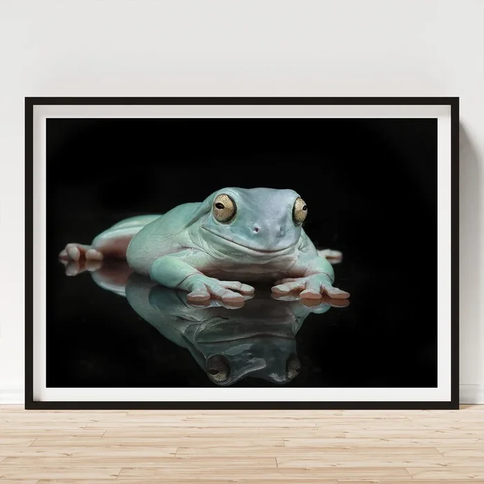Bleu The Whites Tree Frog #1 Art Print