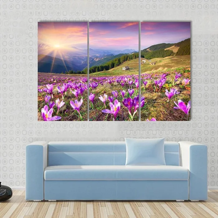 Blossom of Crocuses Canvas Wall Art