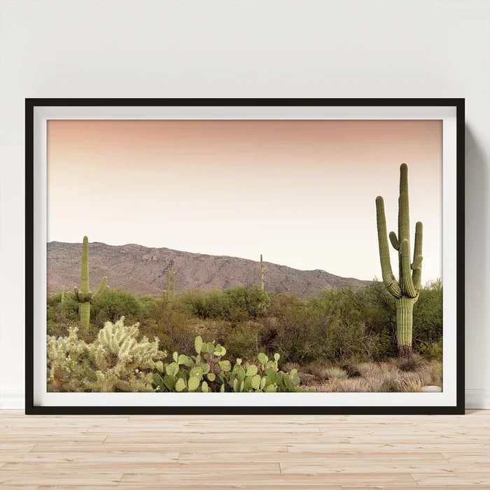 Cacti Cactus Collection – Sunset Cacti Valley Art Print