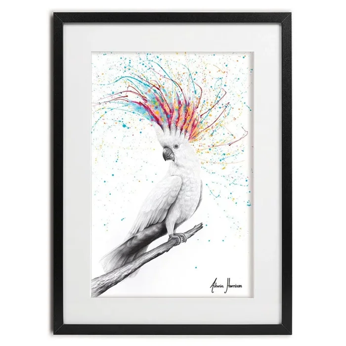 Cool Cockatoo Framed Art Print