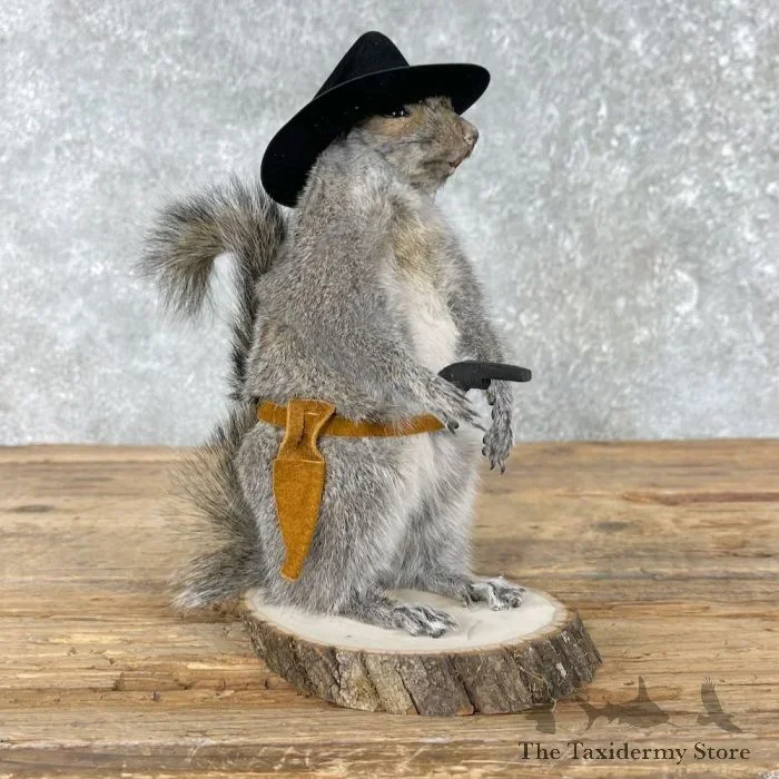 Cowboy Squirrel Novelty Taxidermy Mount For Sale