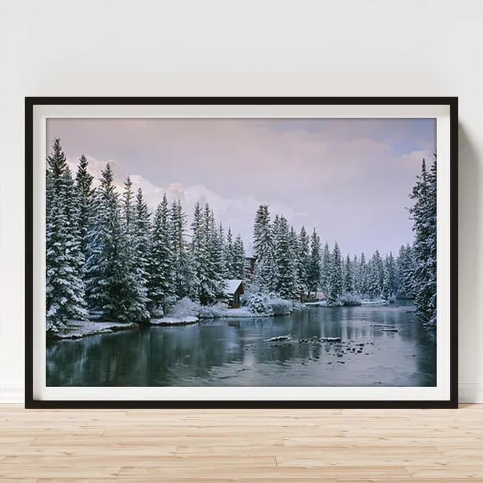 Evergreen Trees Covered With Snow Art Print
