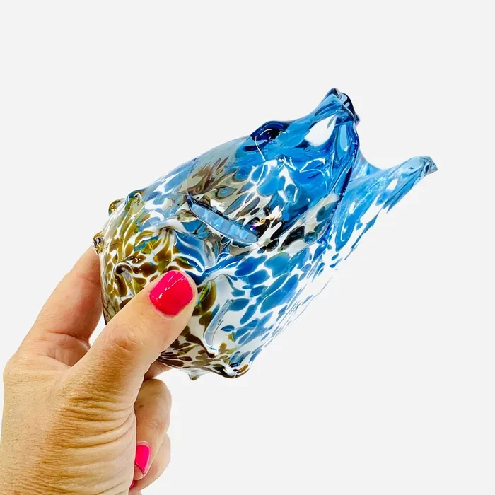 “Luke’s Favorite Shell” 6
