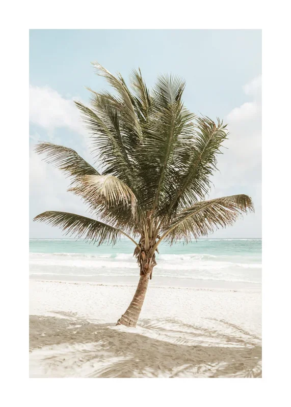 Palm in the Breeze Print