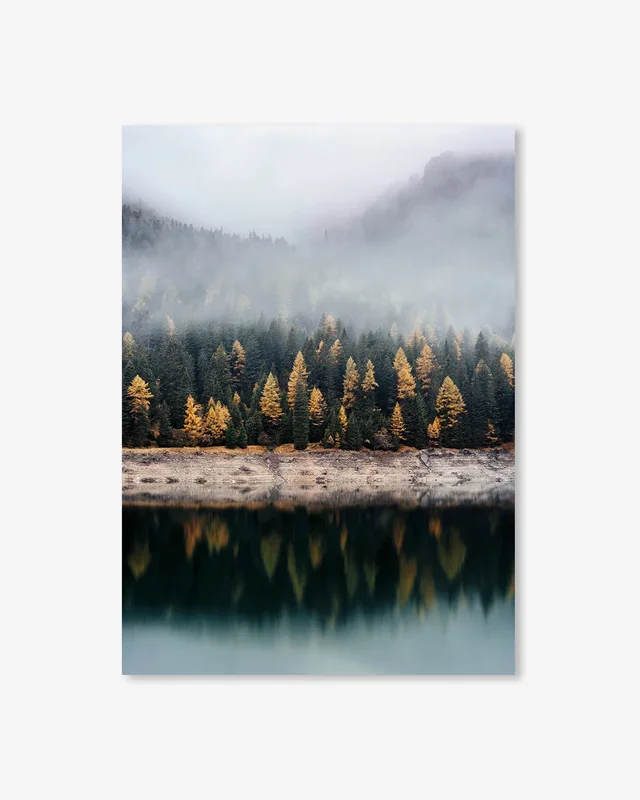 Pinecone Forest Wall Art Print