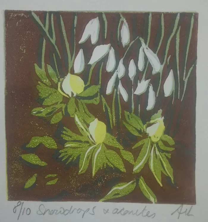 Snowdrops and Aconites (2020) Linocut by Ann Kilroy
