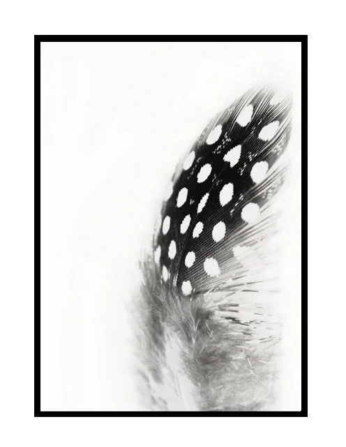 SPOTTED FEATHER