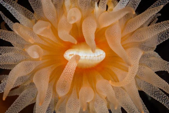 Underwater