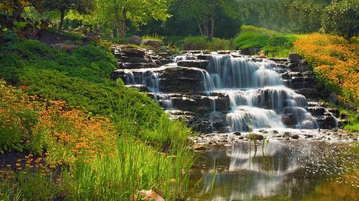 Waterfalls with Black Eyed Susan’s- Hamilton County Indiana #1