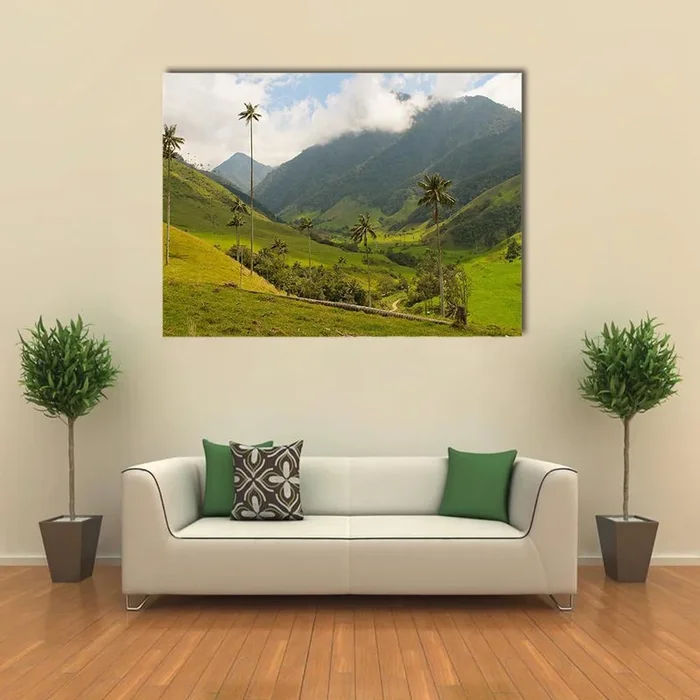 Wax Palm Trees of Cocora Valley Canvas Wall Art
