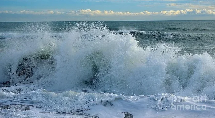 Wild waves