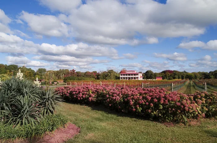 Willow Creek Winery – Cape May New Jersey
