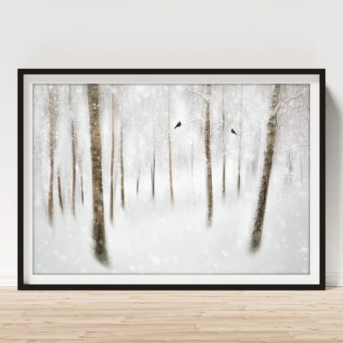 Winter Birches Art Print