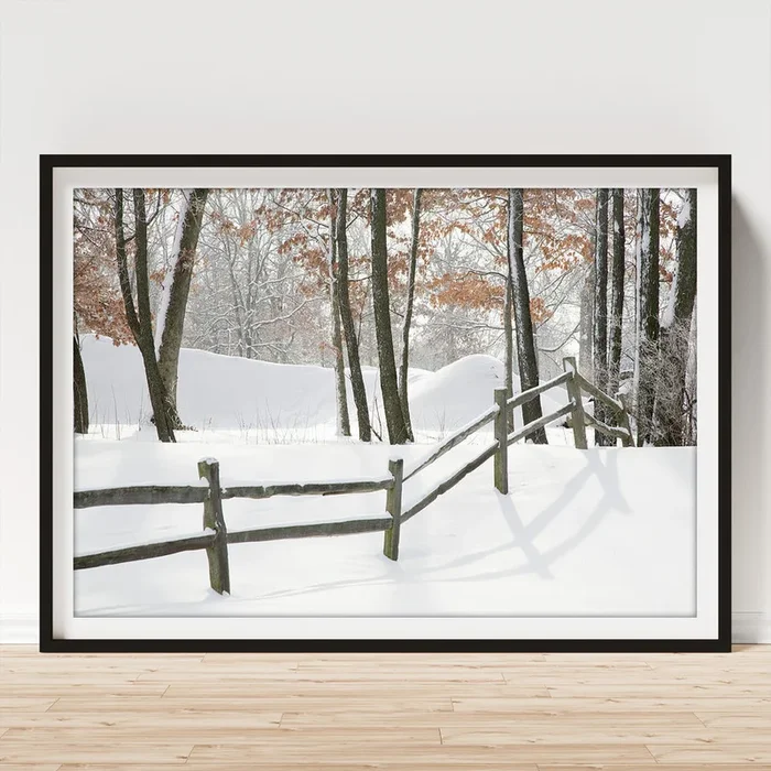 Winter Fence & Shadow, Farmington Hills, Michigan ?09 Art Print
