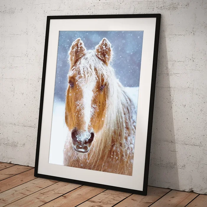 Winter Horse Portrait Art Print