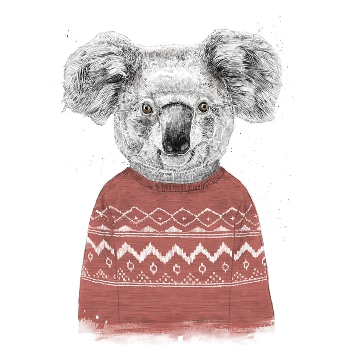 Winter koala (red)