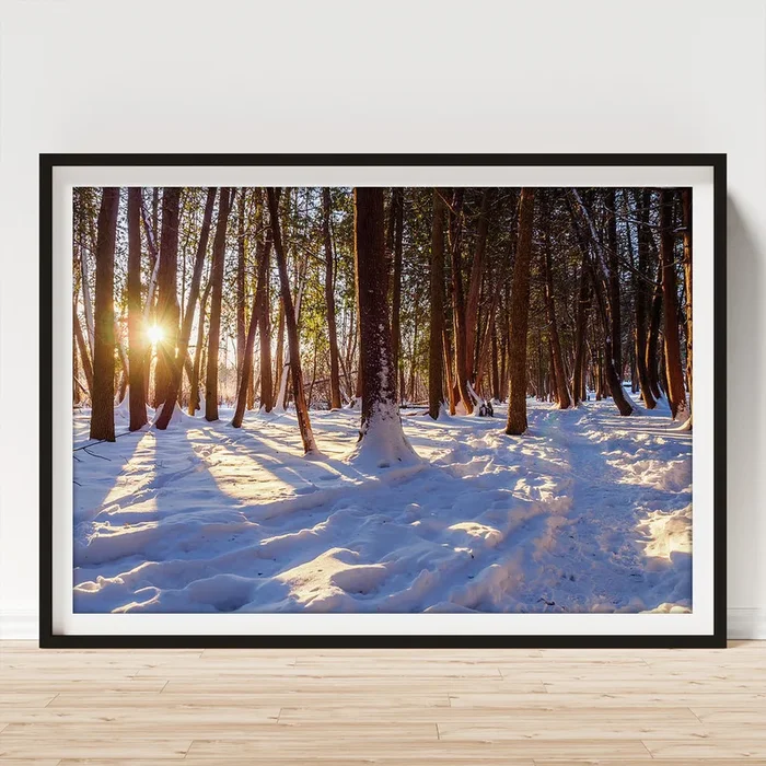 Winter trail at sunrise Art Print
