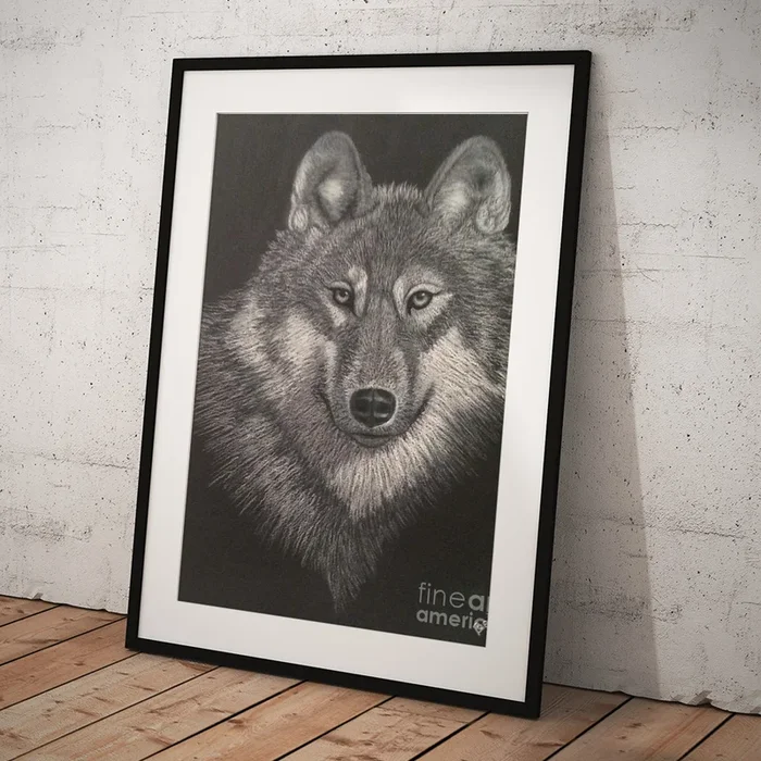 Wolf Art Print