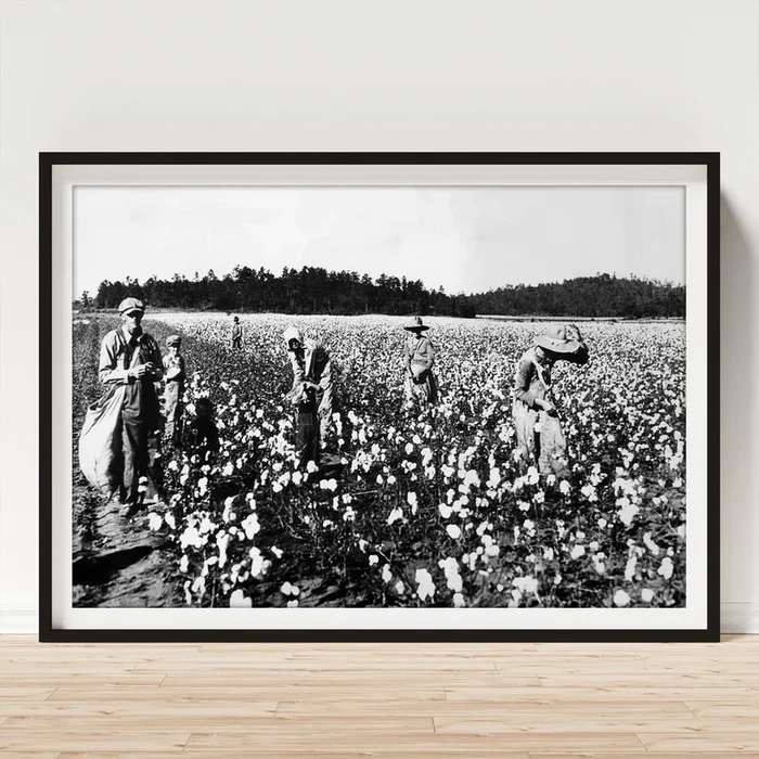 Workers Picking Cotton, Georgia, 1936 Art Print