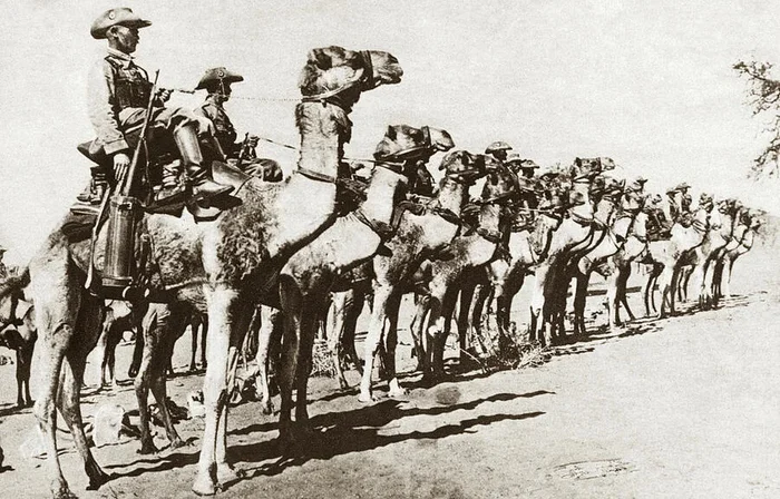 World War I Camel Corps
