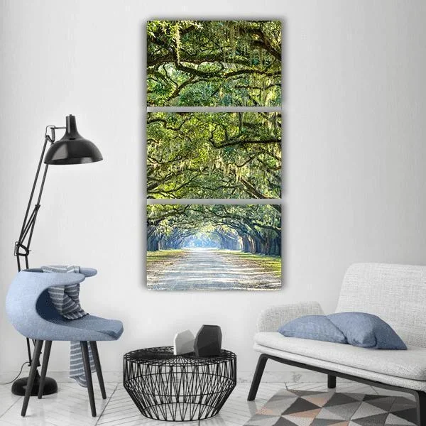 Wormsloe Tree Tunnel Vertical Canvas Wall Art