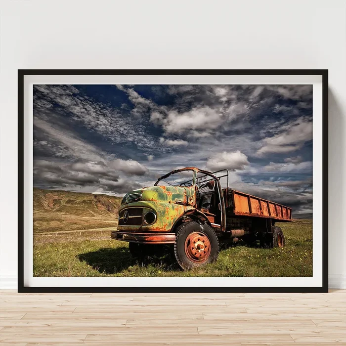 Z 466 Art Print