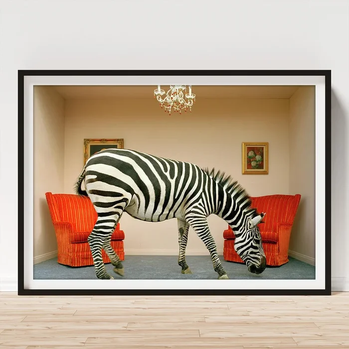 Zebra In Living Room Smelling Rug, Side Art Print