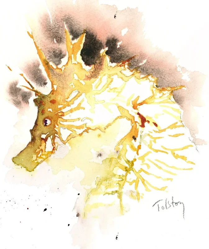 Zebra Seahorse Watercolour by Alex Tolstoy