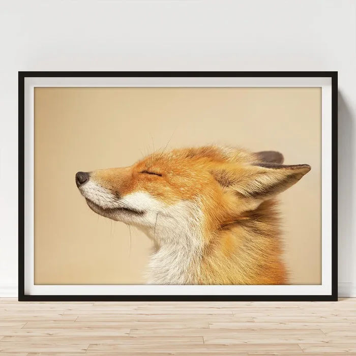 Zen Fox Series – May You Be Happy Art Print